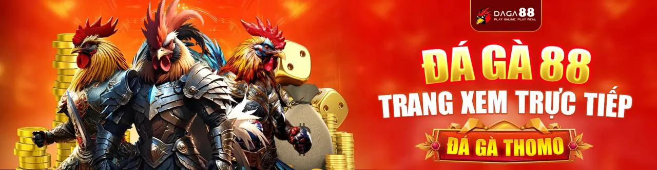 Sân đấu đá gà trực tuyến sôi động tại VX88